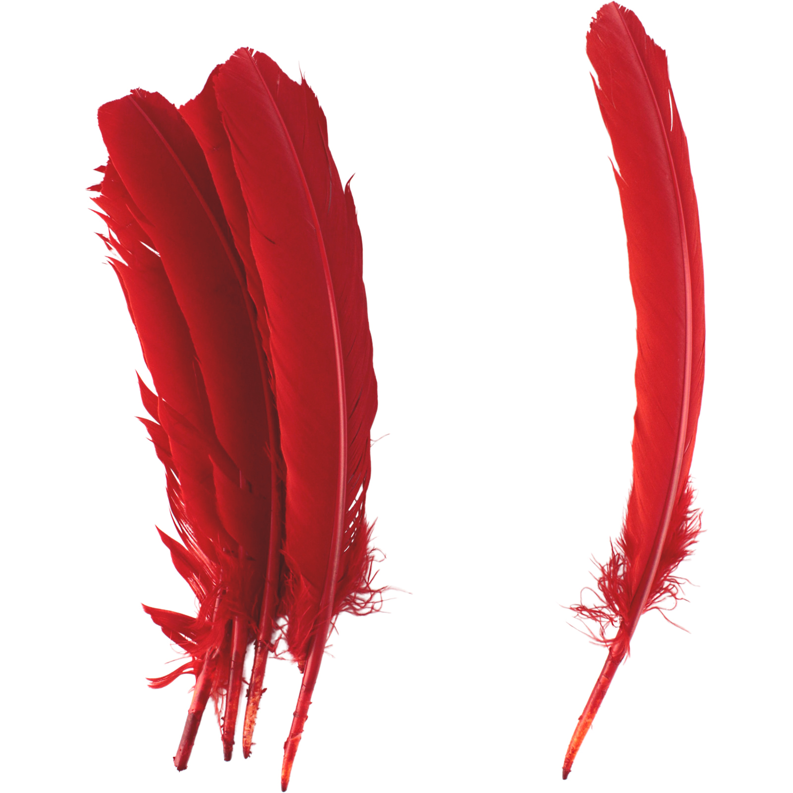 Red Feathers 28cm (Pack of 6)