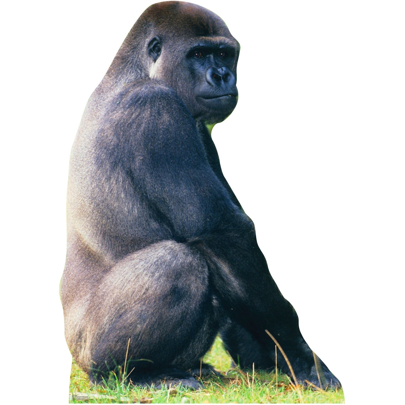 Giant Gorilla Stand Up Photo Prop