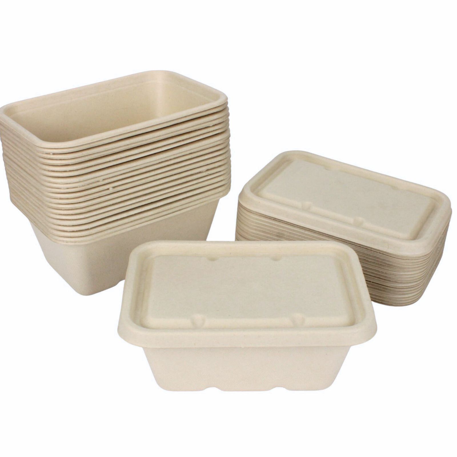 Natural Eco Sugar Cane Food Containers With Lids 1 Litre (Value Pack of 20)