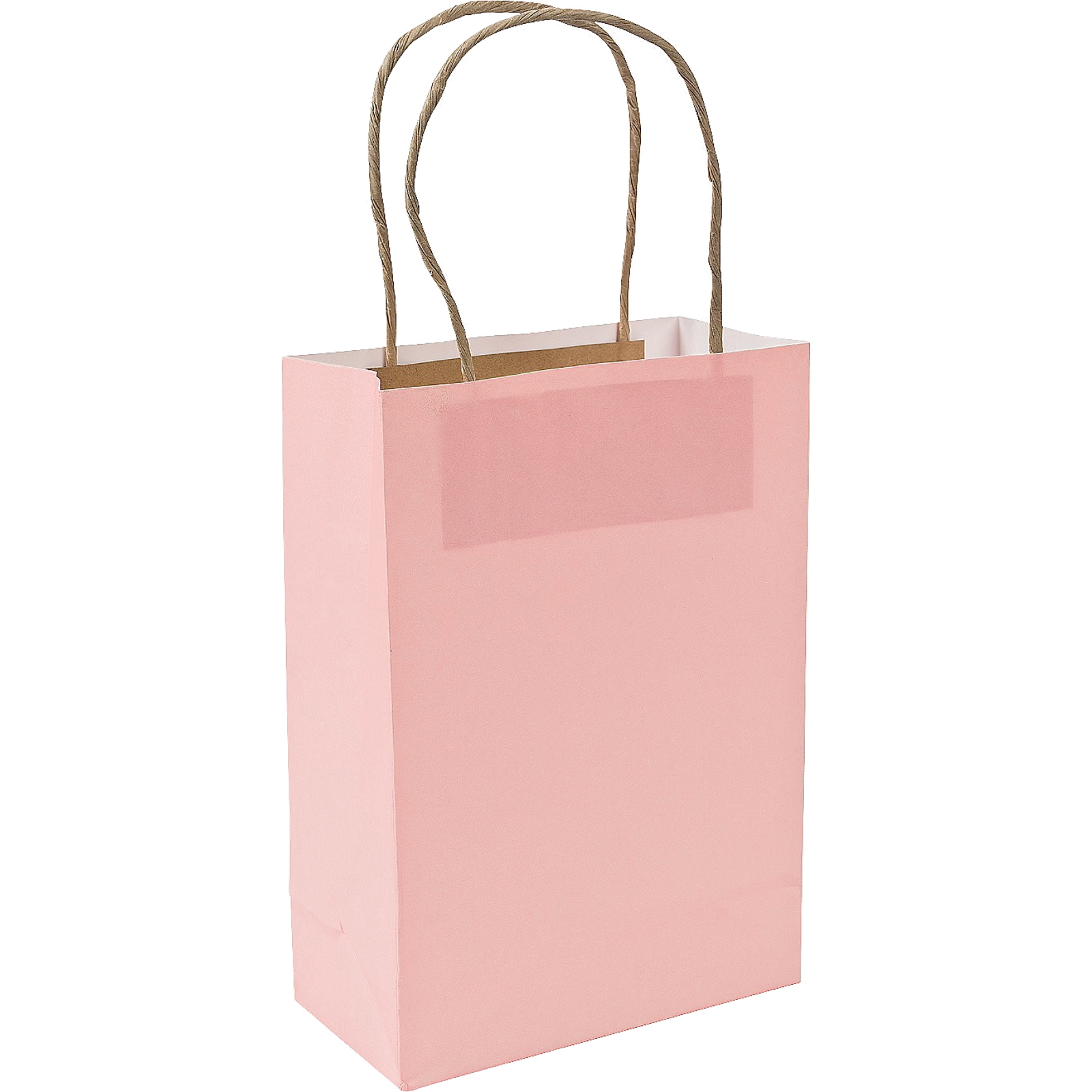 Pastel Pink Paper Gift Bags (Pack of 12)