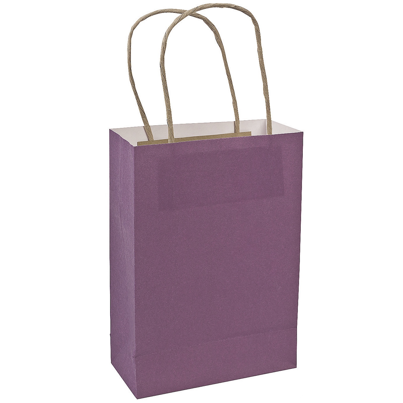 Purple Paper Gift Bags (Pack of 12)
