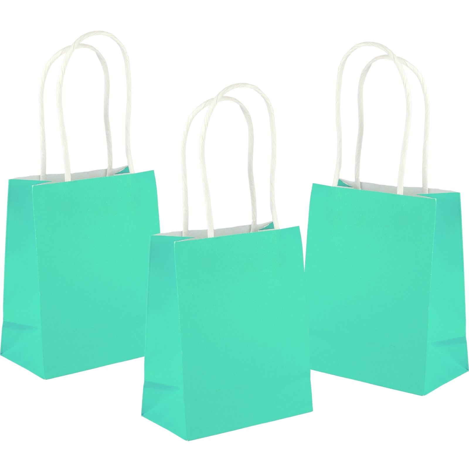 Turquoise Kraft Paper Gift Bags 13.5cm (Pack of 5)