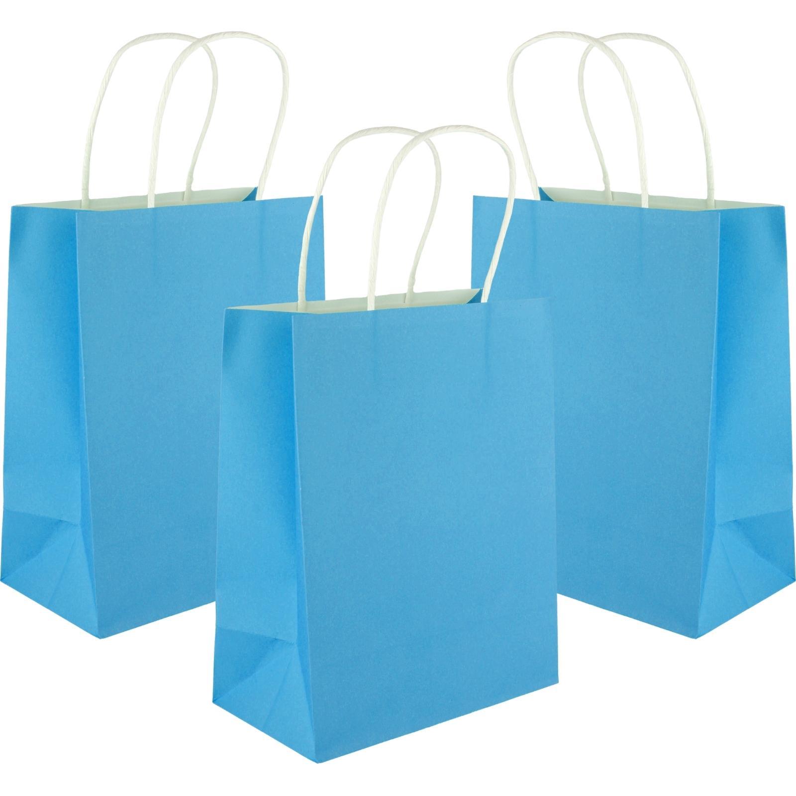 Blue Kraft Paper Gift Bags 22cm (Pack of 5)