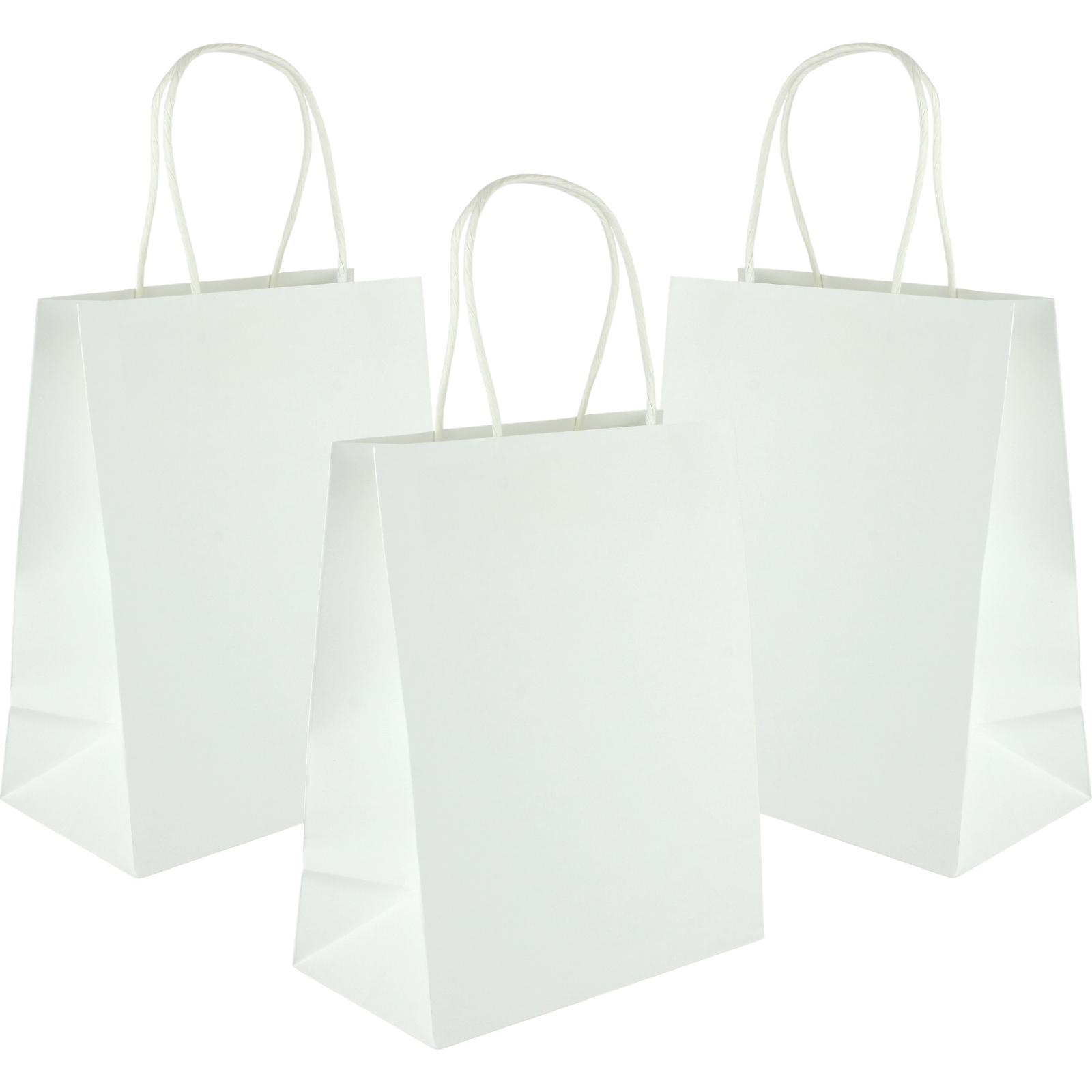 White Kraft Paper Gift Bags 22cm (Pack of 5)