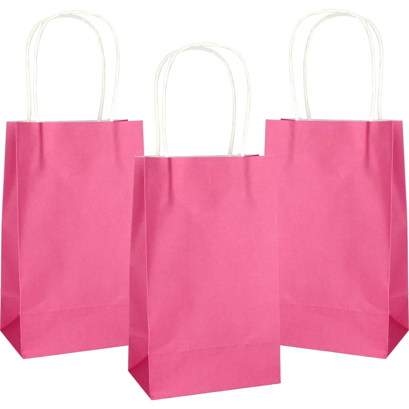 Hot Pink Paper Gift Bags 21.5cm (Pack of 5)