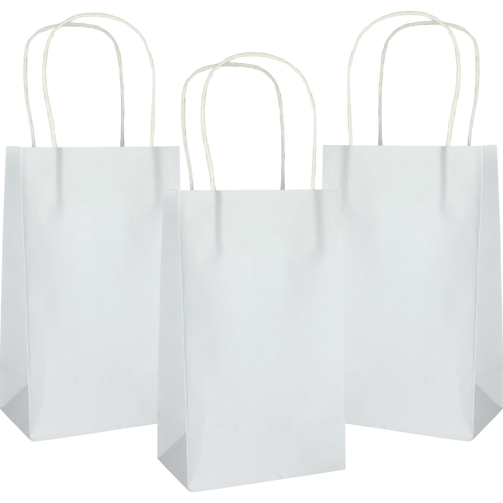White Gift Bags 21.5cm (Pack of 5)  