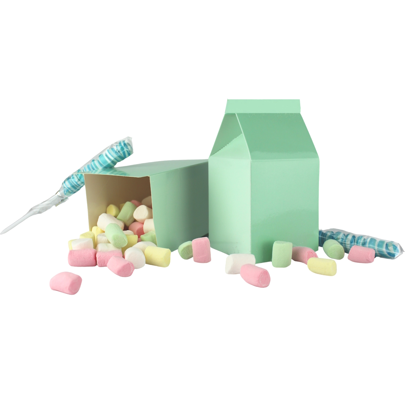 Mint Green Two Tone Pastel Milk Boxes (Pack of 10)