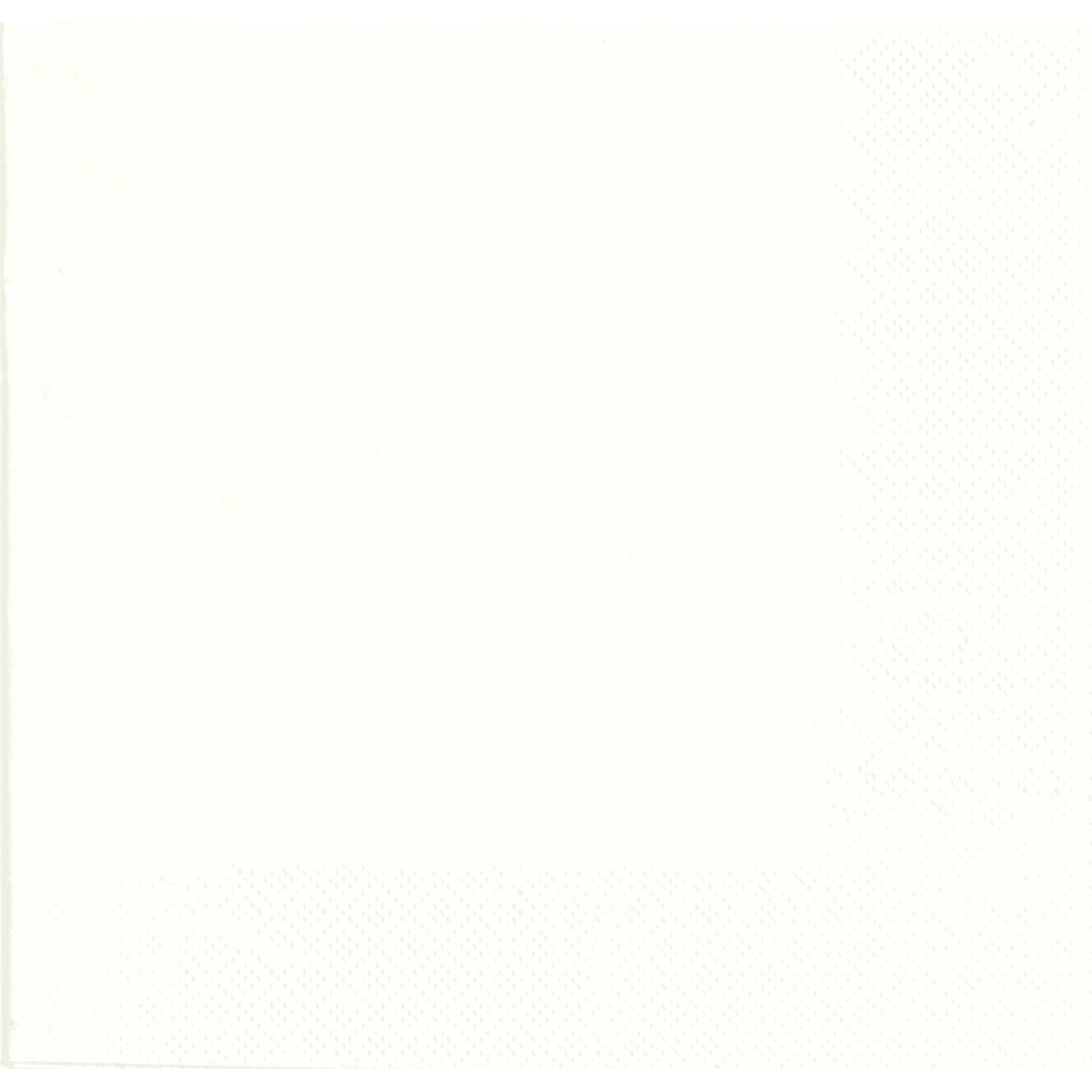 White Lunch Napkins / Serviettes (Pack of 50)