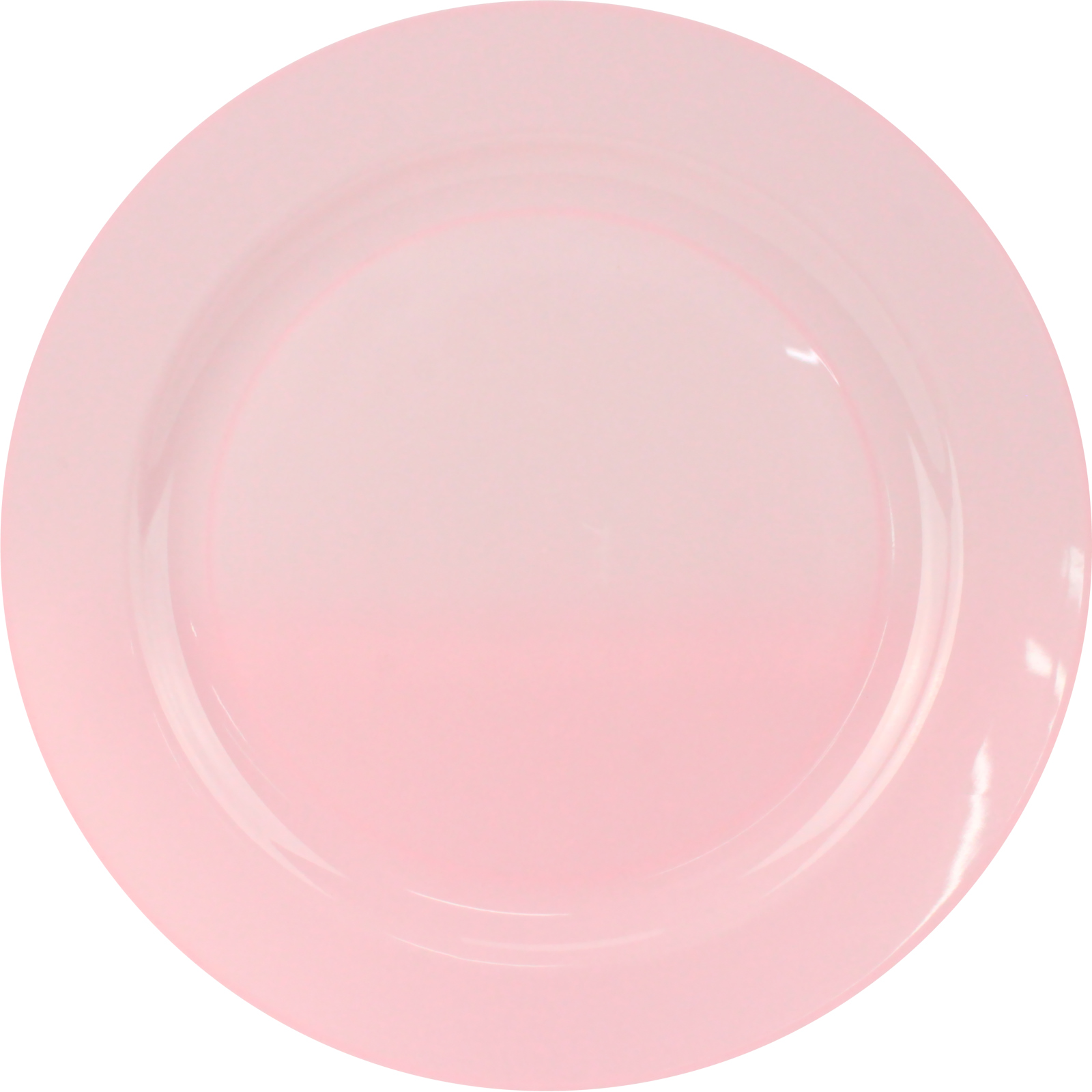 Everyday Living Pink Coral Reusable Large Plates (Pack of 10) 