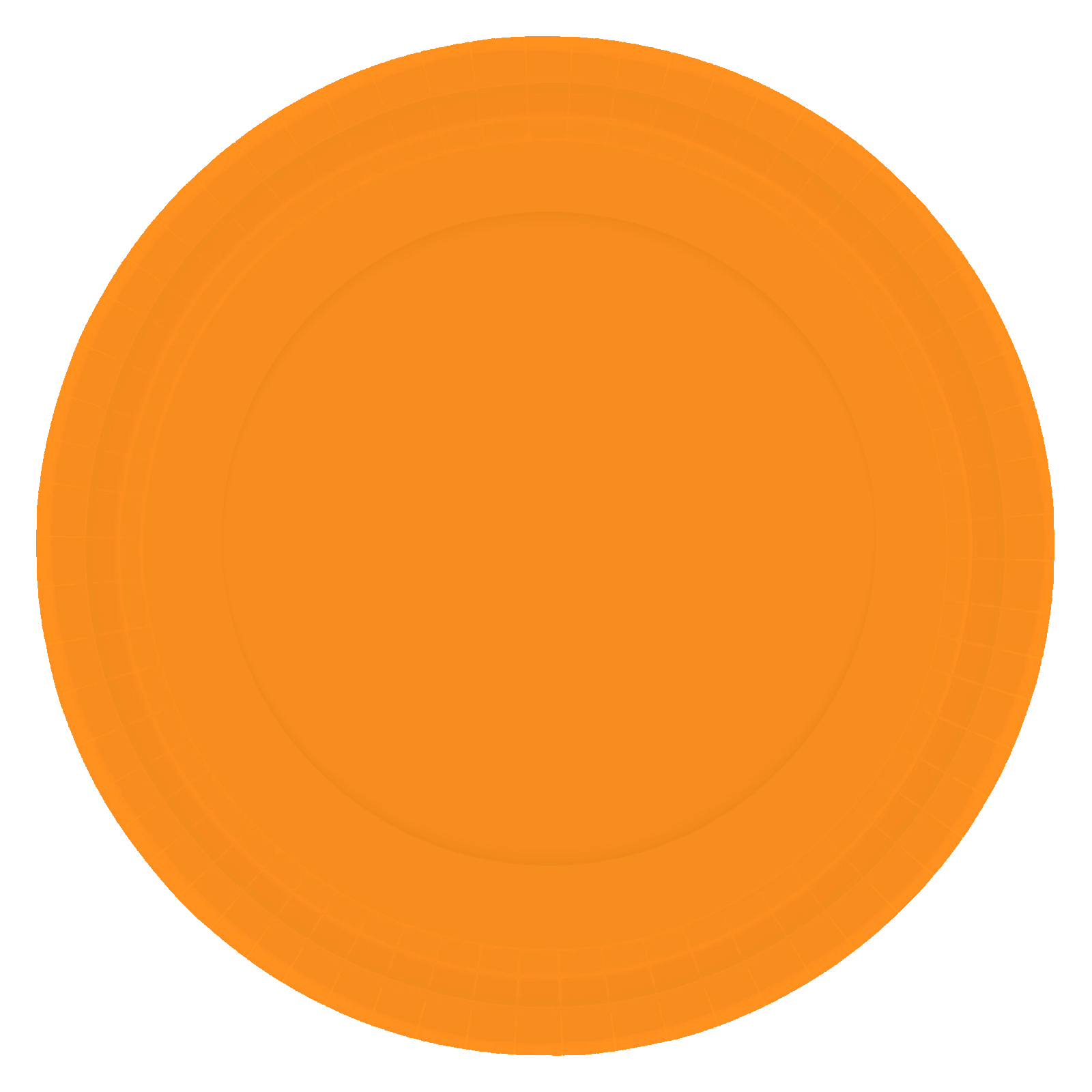 Pumpkin Orange 23cm Round Paper Plates NPC (Pack of 20)