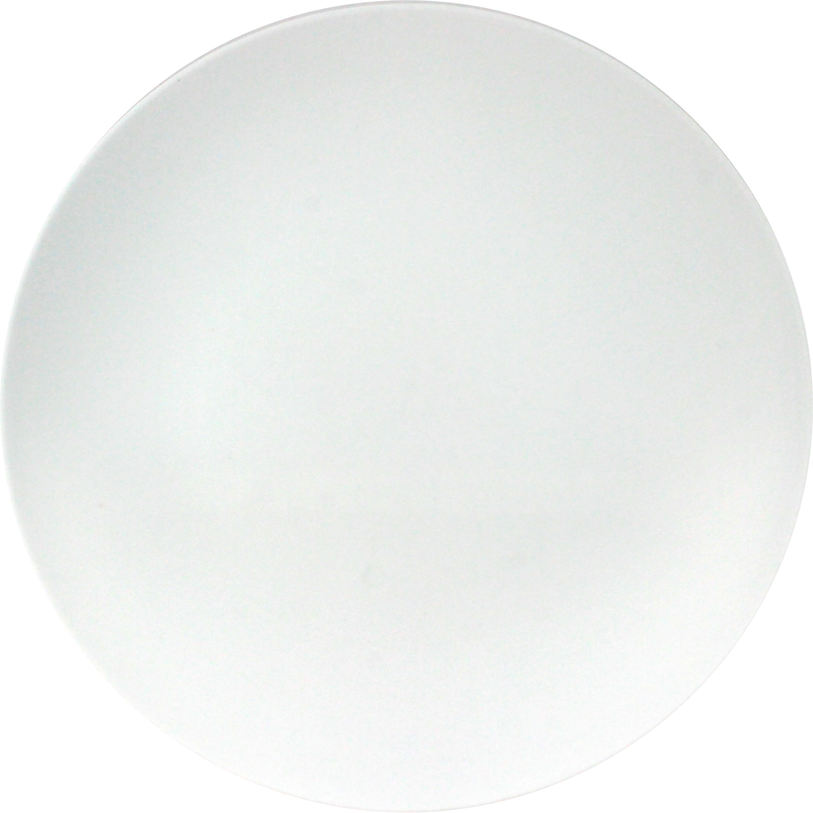 Everyday Home Deluxe White Reusable Large Plates (Pack of 10)