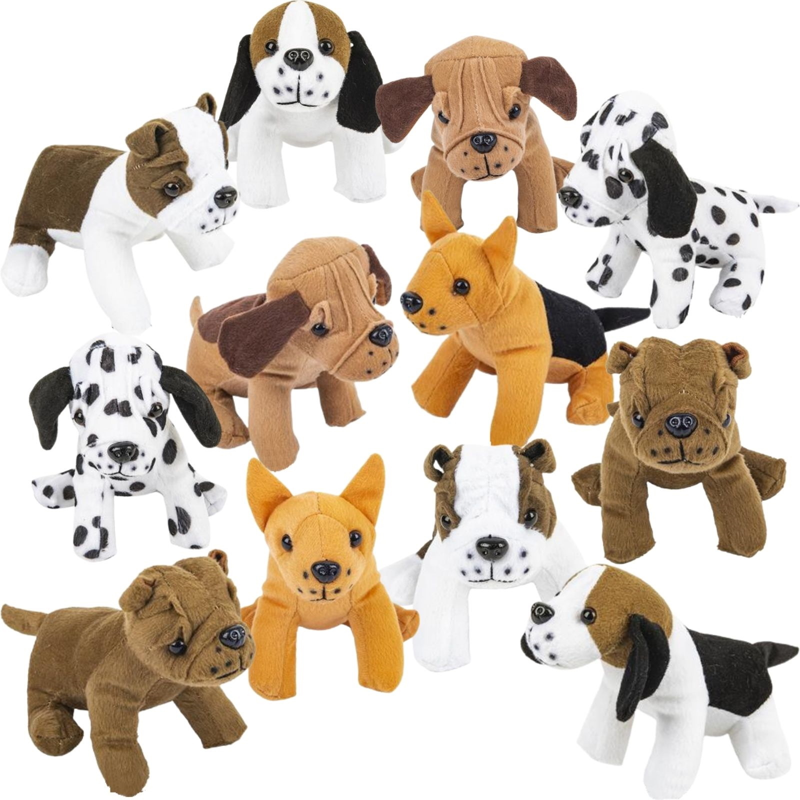 Assorted Plush Dogs (Pack of 12)
