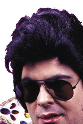 1950's Rock N Roll King Elvis Presley Adult Wig