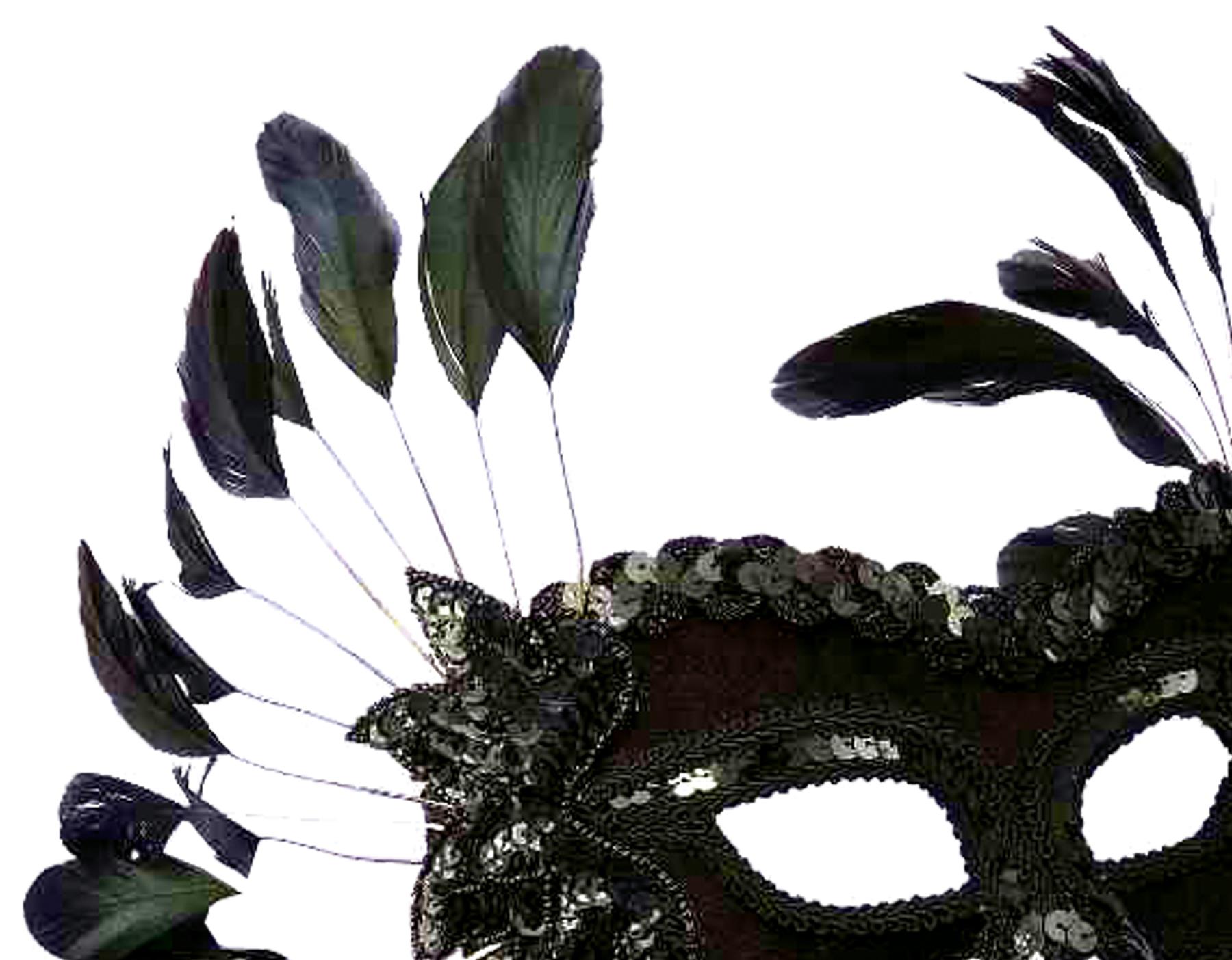 Venetian Black Feathers Adult Mask