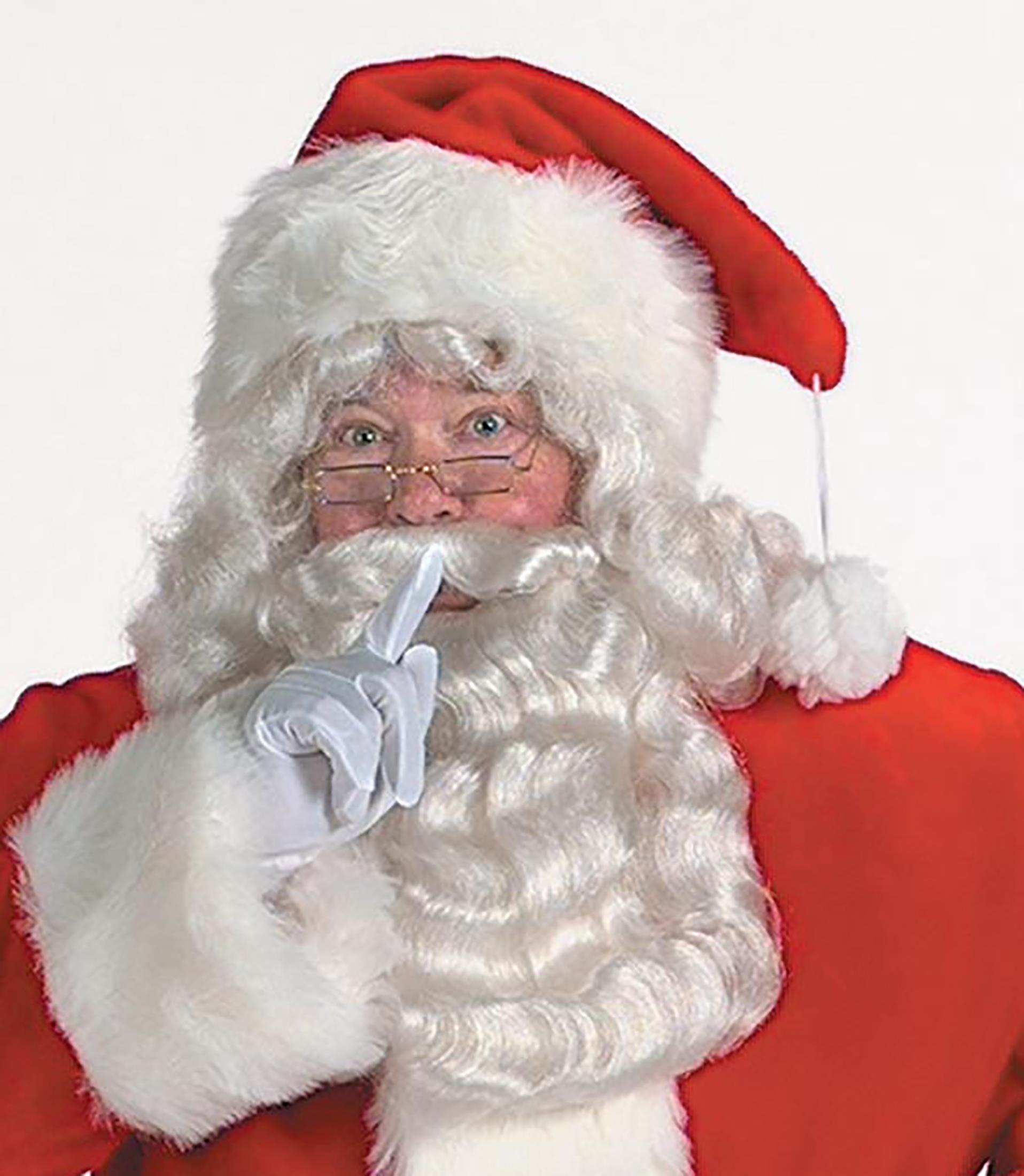 Professional Santa Adult Hat