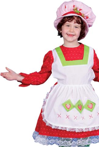 Fairy Tale Country Girl Toddler / Child Costume