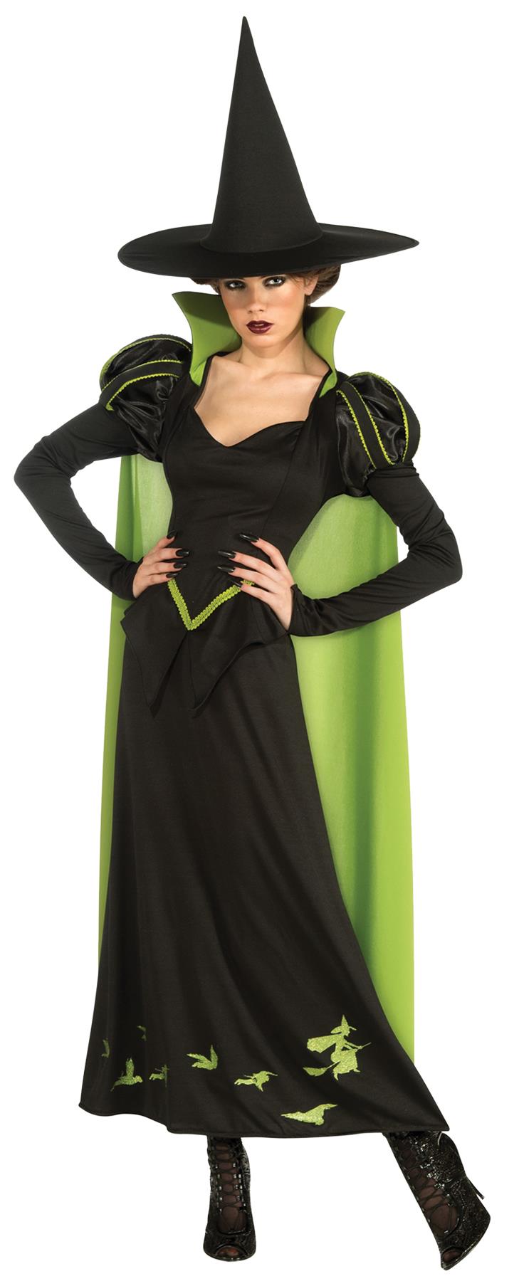 The Wizard of Oz Wicked Witch of the West Adult Costume
