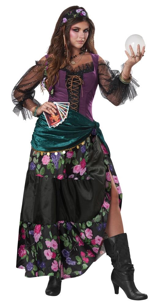 Mystical Charmer Adult Plus Costume