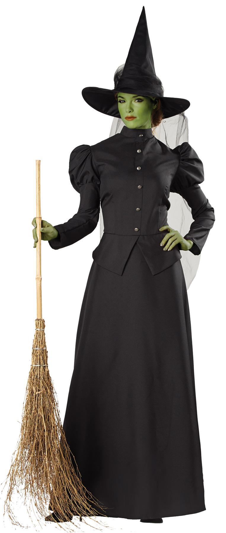 Witch Classic Deluxe Adult Plus Costume