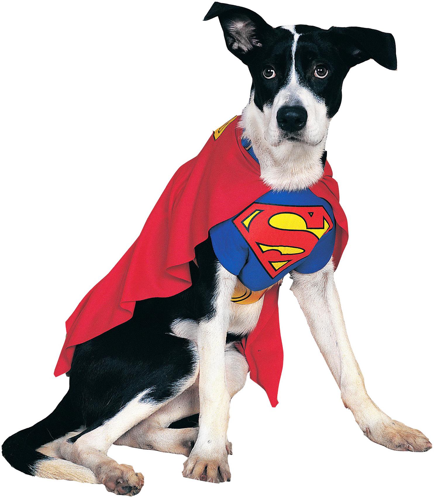 Superman Pet Costume