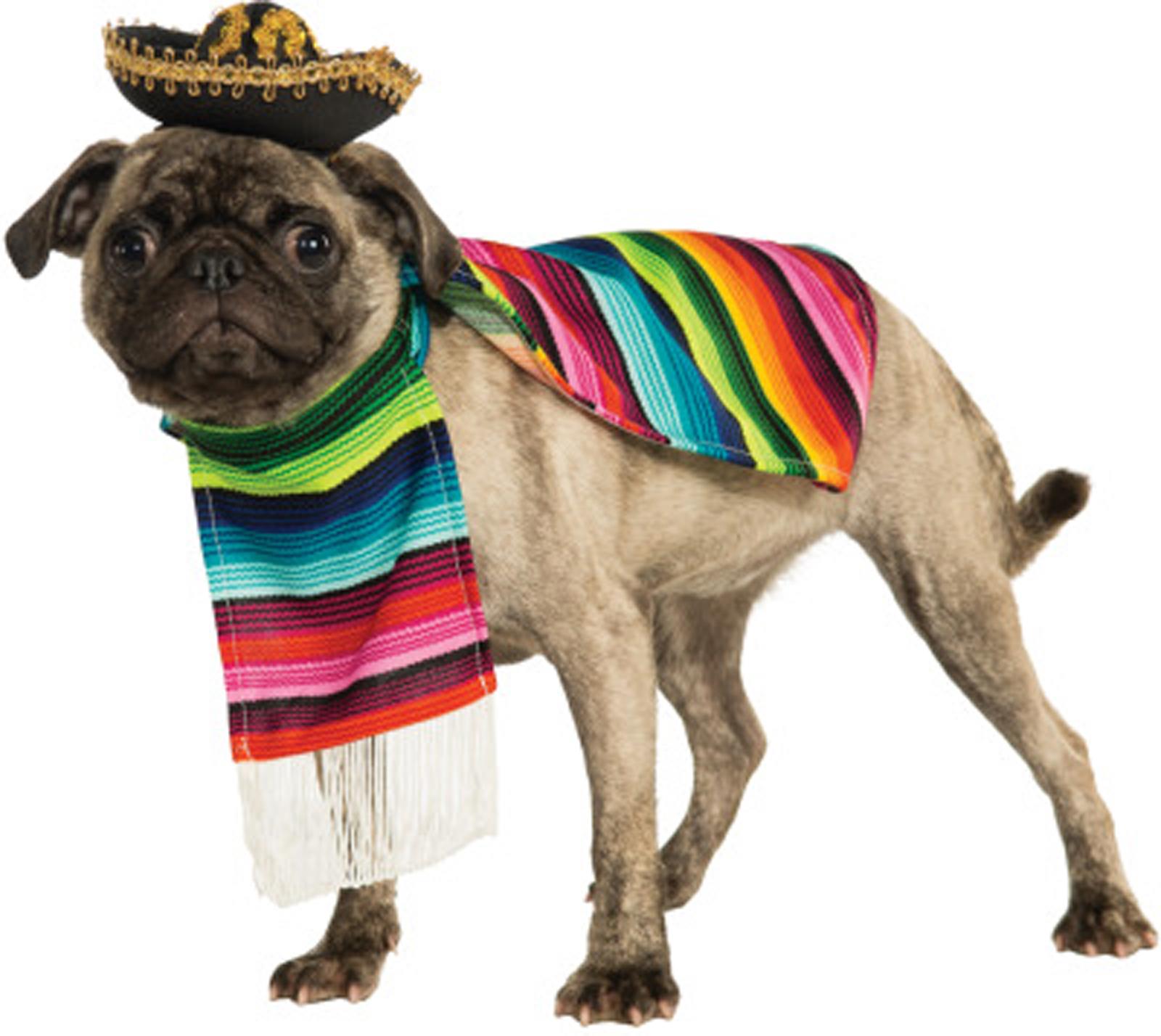 Mexican Poncho Sombrero Pet Costume