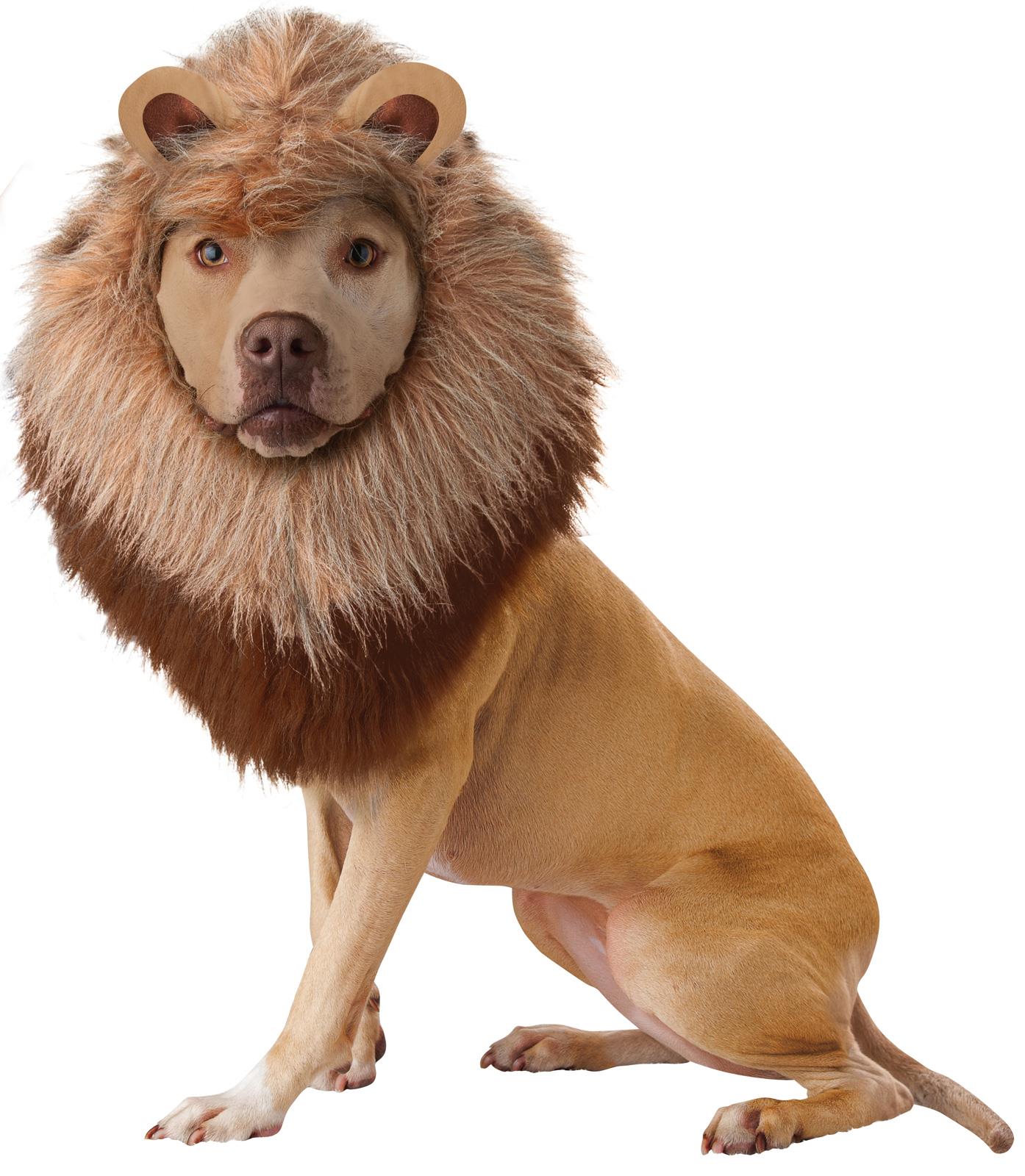 Lion Pet Costume