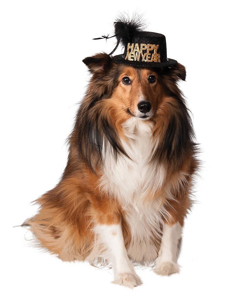 Happy New Year Hat Pet Costume Accessory