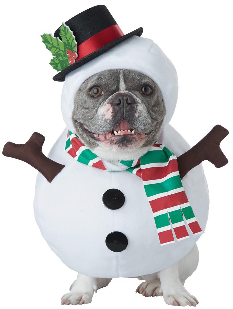 Snowman Dog Pet Costume