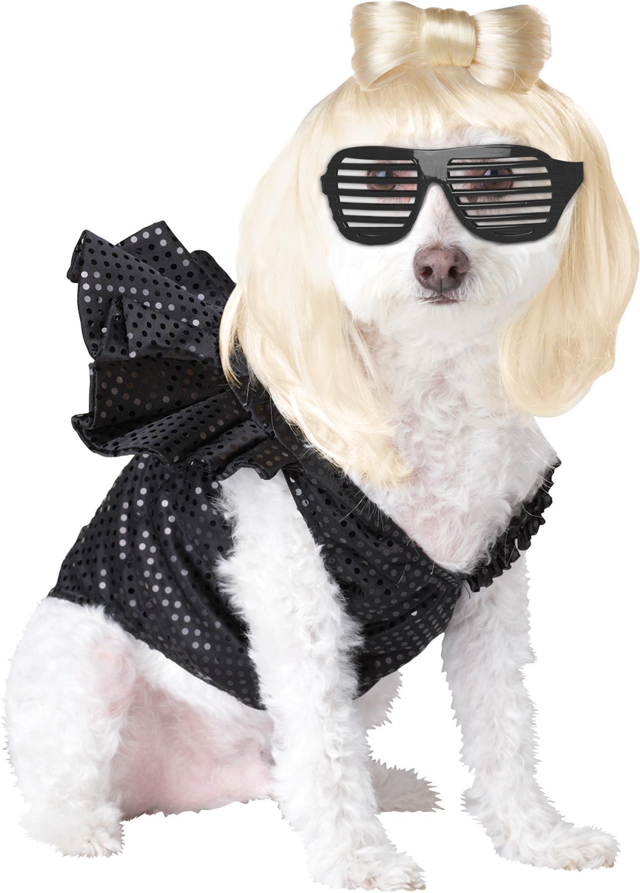 Pop Sensation Pet Costume