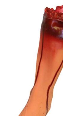 Left Leg Vinyl Horror Prop
