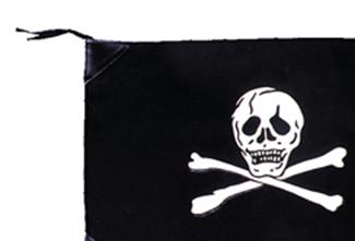Pirate Flag Cotton Adult Costume Accessory