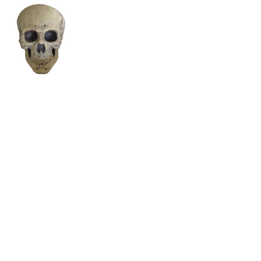 Skull Foam 9.5in Halloween Prop