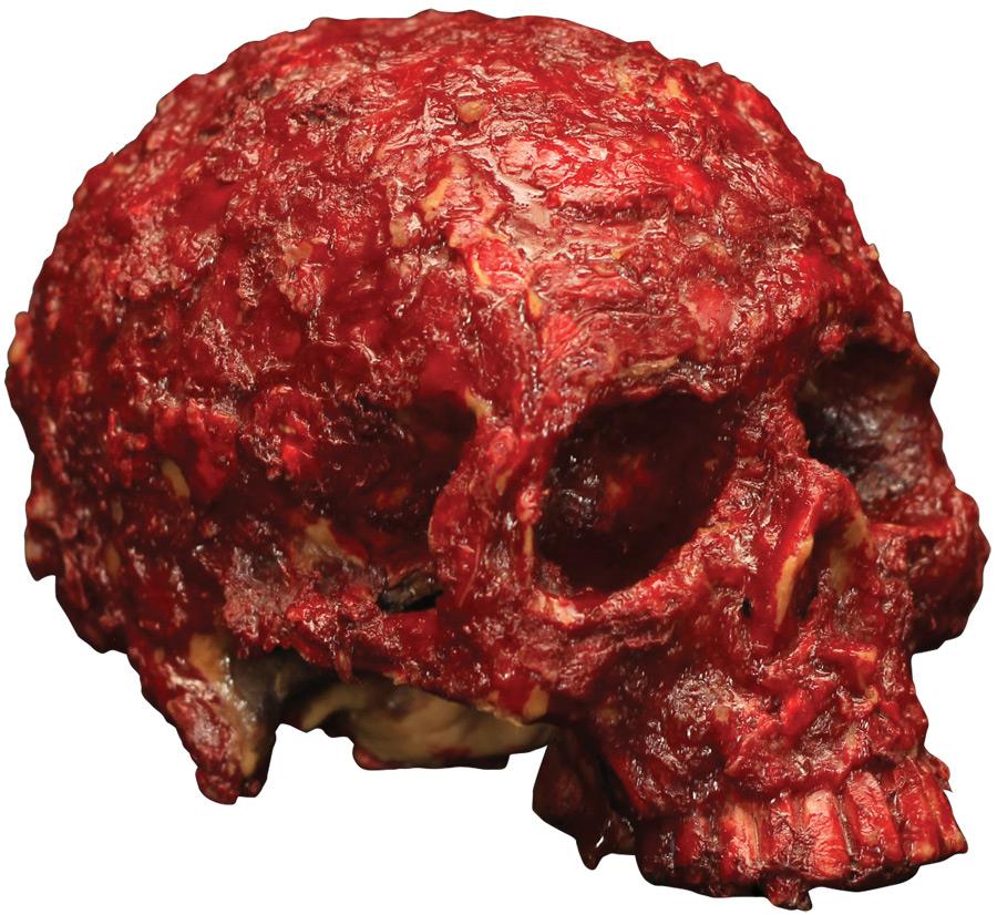 Blood Scab Resin Skull Halloween Prop