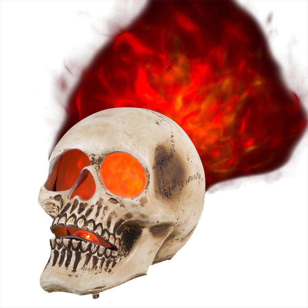 Blazing Scenes Natural Brushed Skull Halloween Prop