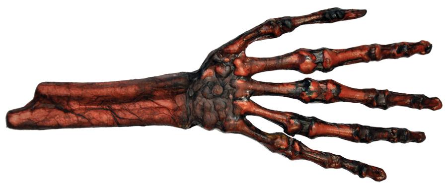 Rotted Flesh and Bone Hand Halloween Prop