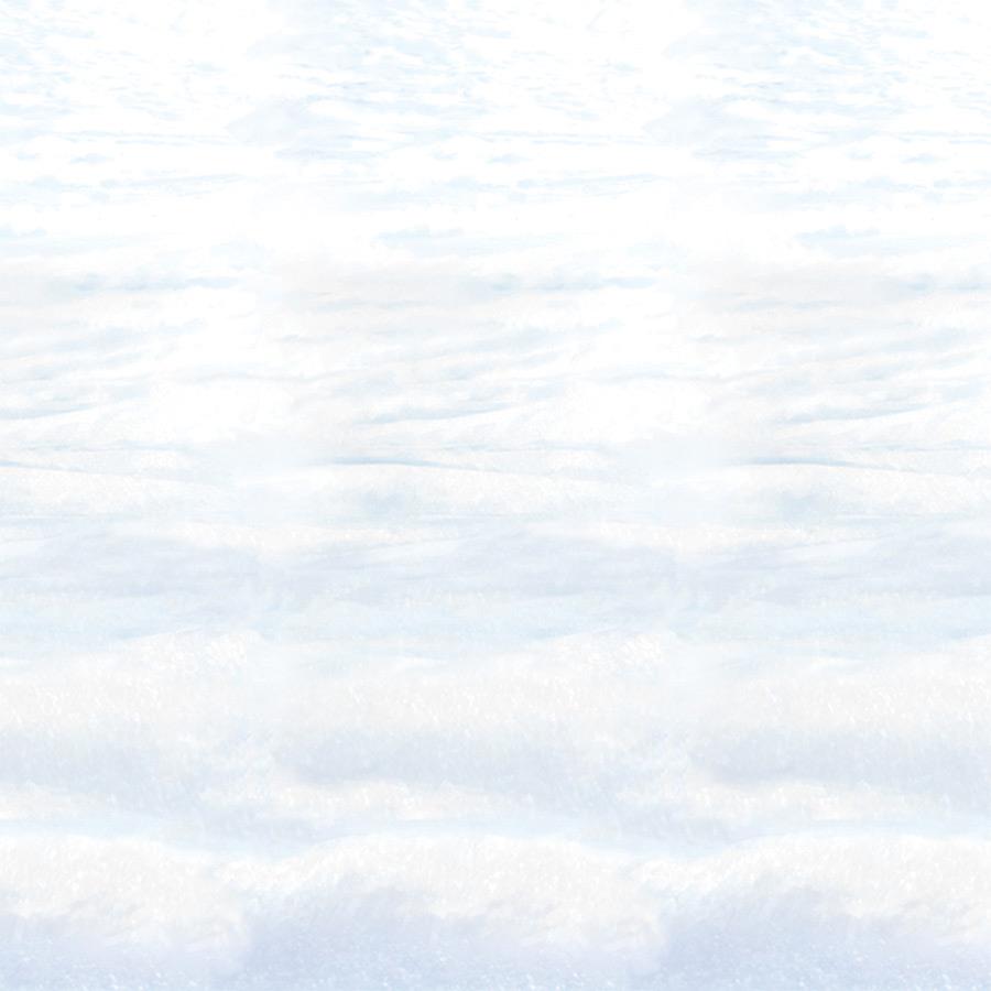 Snowscape Backdrop Christmas Decoration