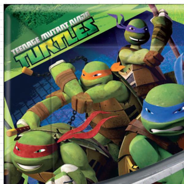 Teenage Mutant Ninja Turtles Paper Dinner Plates 22.9cm Pack of 8
