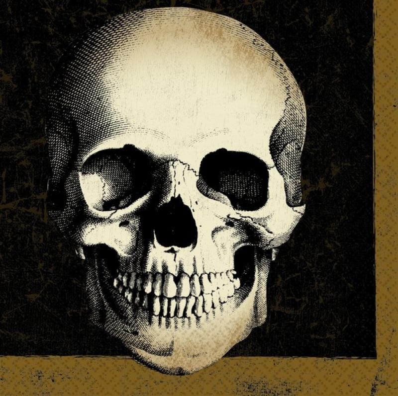 Boneyard 33cm Lunch Napkins Pack of 16