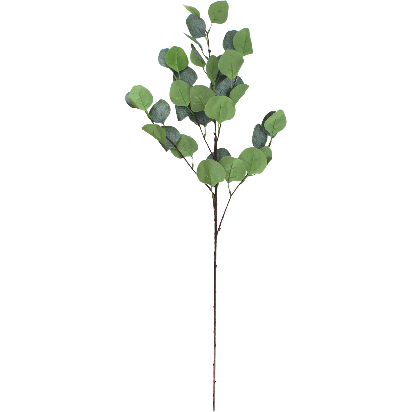Artificial Australian Eucalyptus Leaves (1 Branch)  