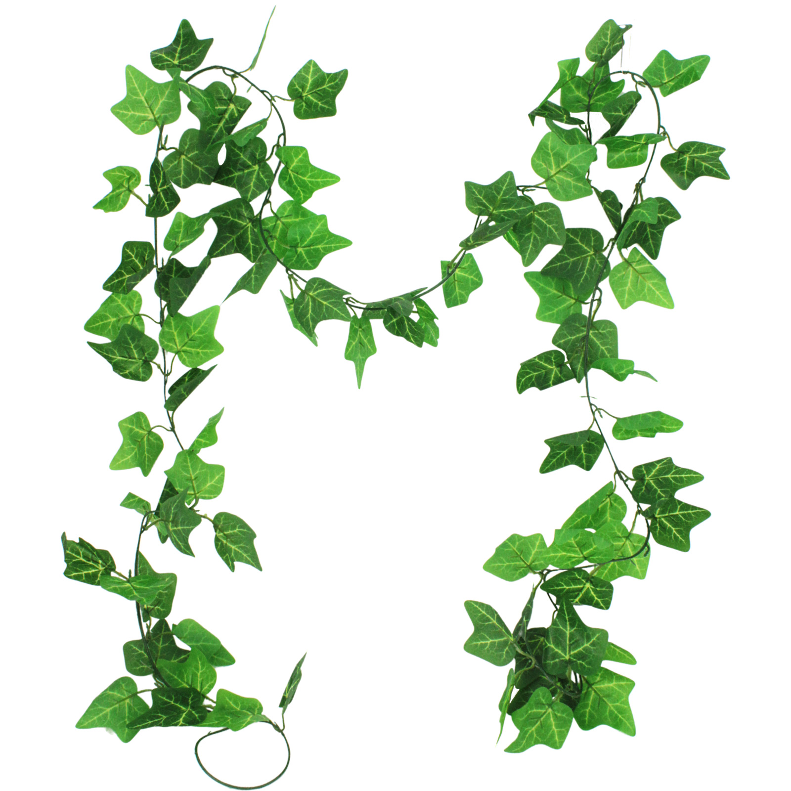 Ivy Leaf Vines (Pack of 5) 