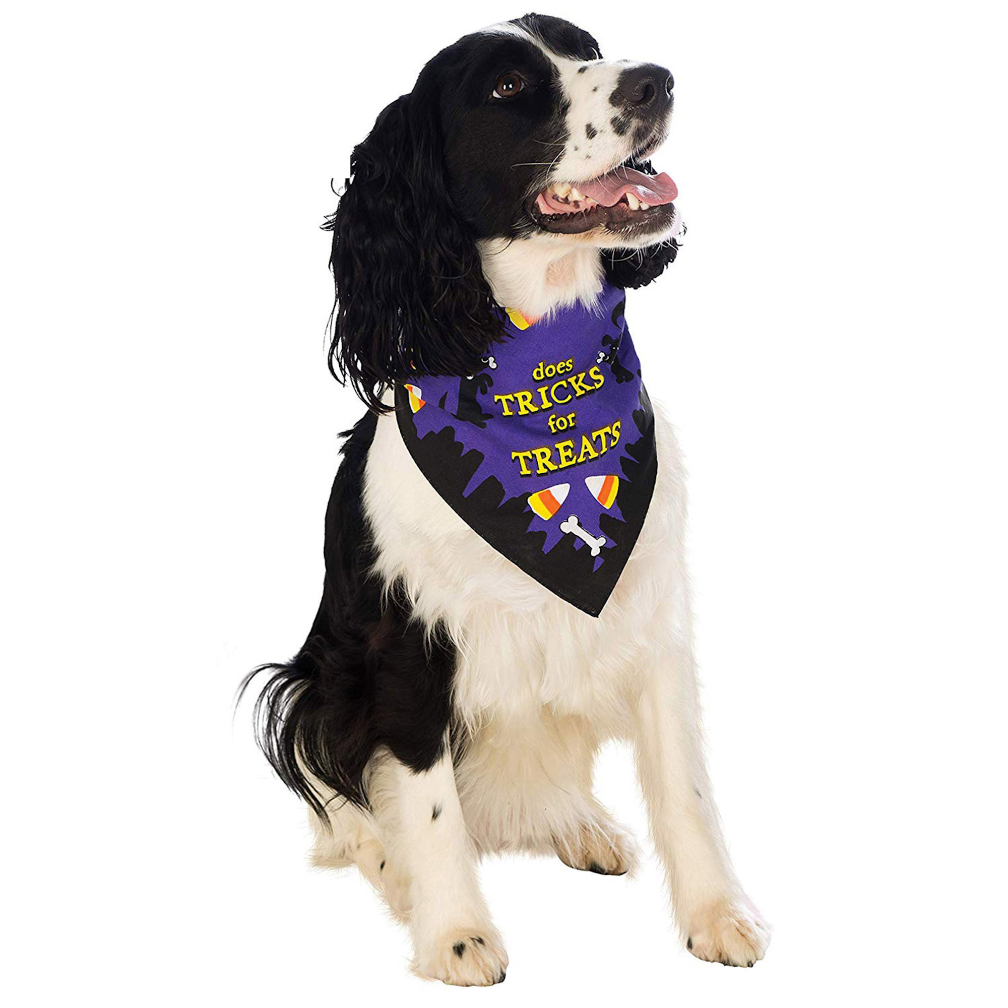 Does Tricks For Treats Halloween Pet Bandana