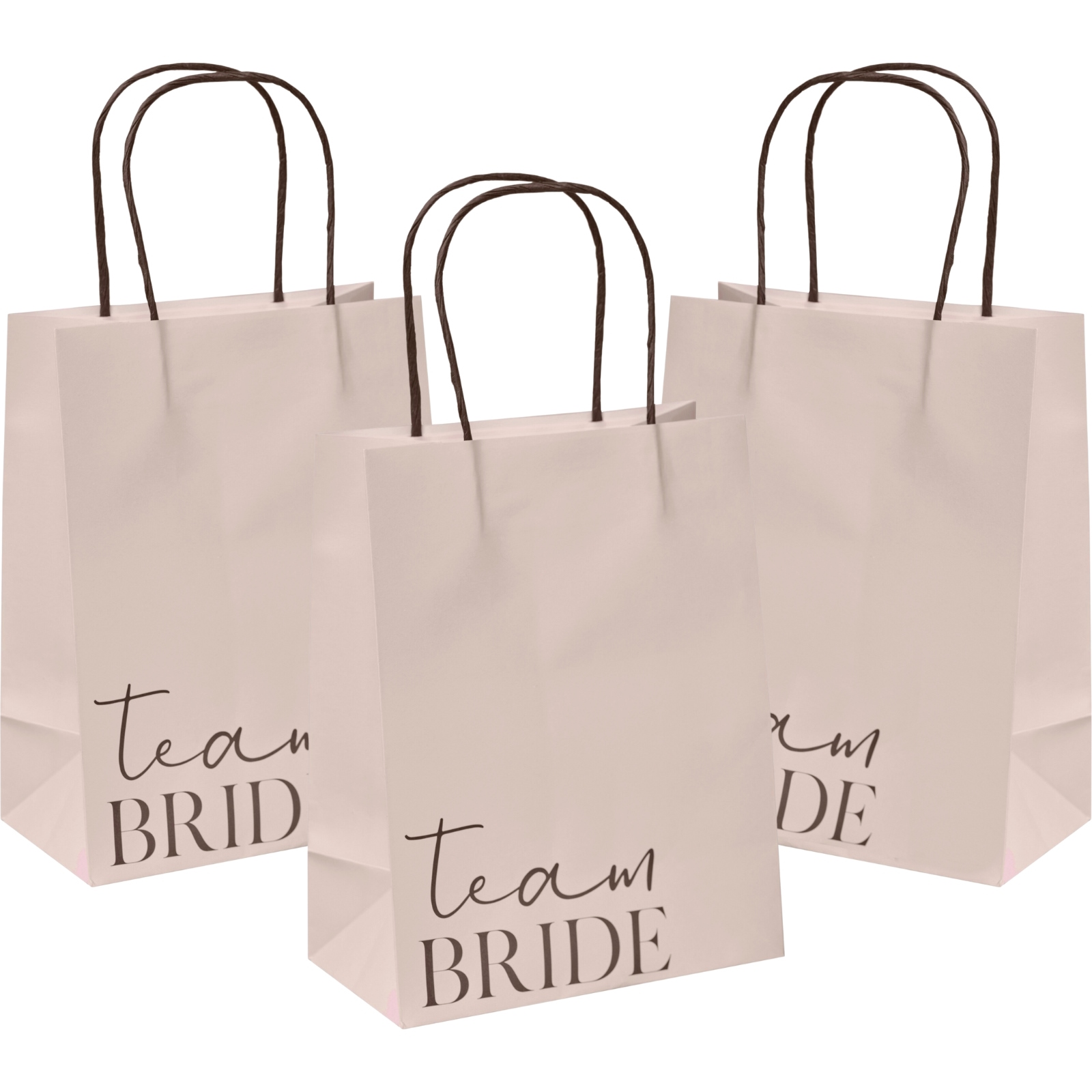 Ginger Ray Team Bride Hen Paper Gift Bags (Pack of 5) 