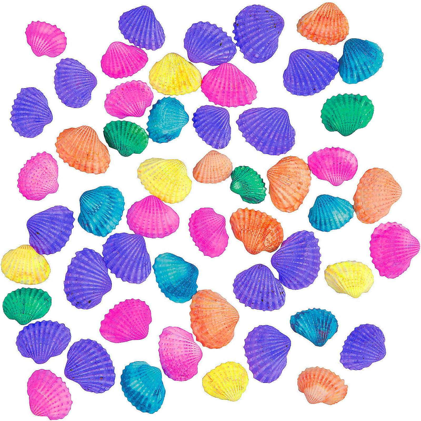 Multi-Coloured Clamrose Seashells 450g