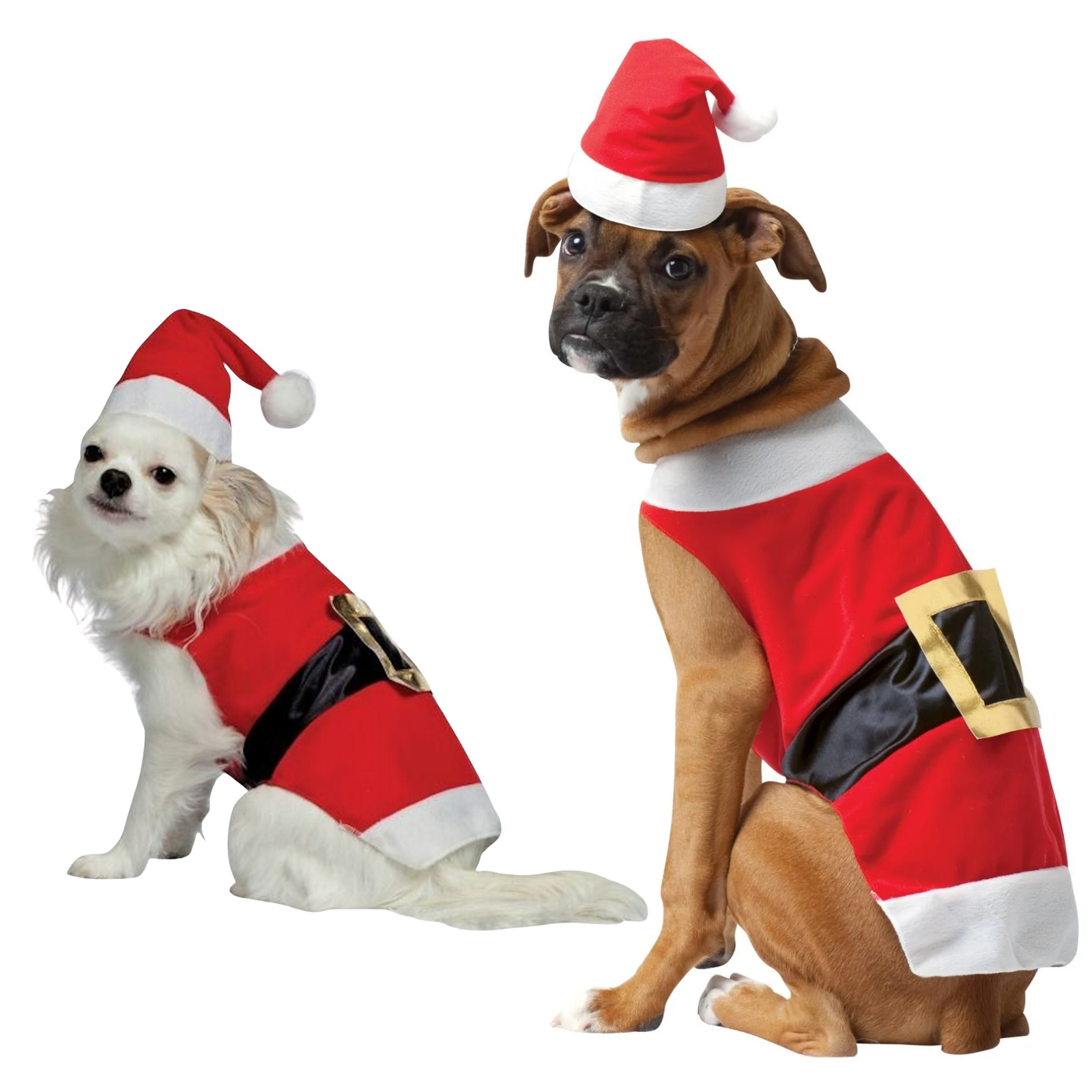Santa Claus Pet Costume