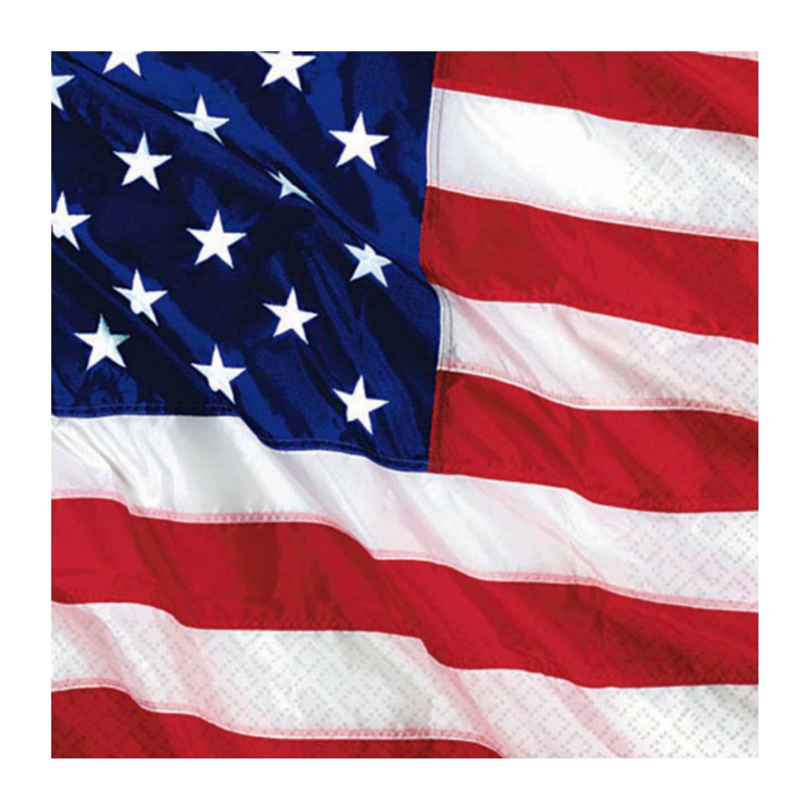 USA Small Napkins / Serviettes (Pack of 16)