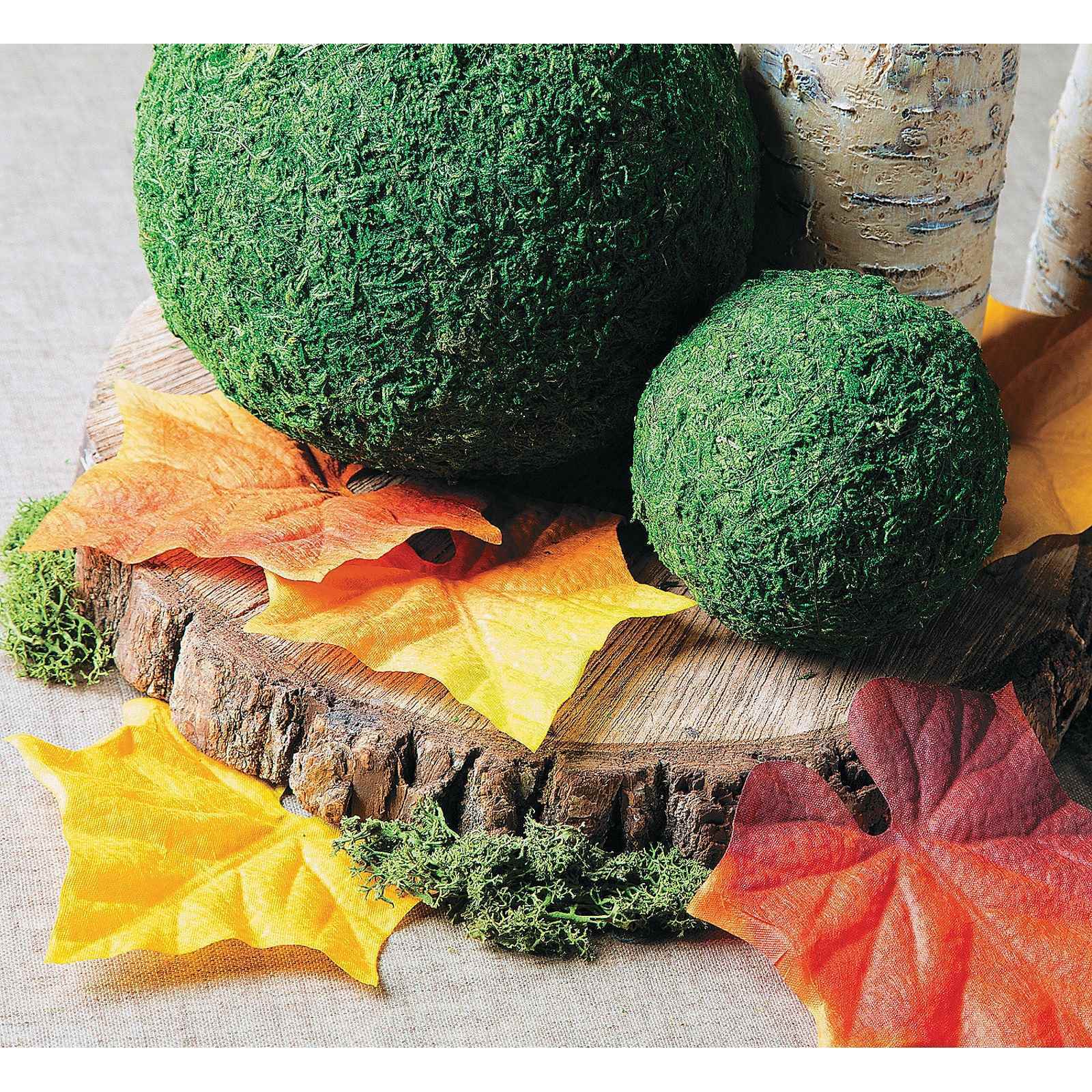 Autumn Leaves (Value Pack) Woodland Animals Boys and Girls Birthday